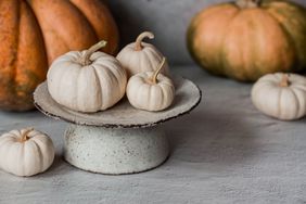 Seasonal autumn food. Fresh pumpkins on a stylish ceramic plate on a gray concrete background. A rich harvest of melons.