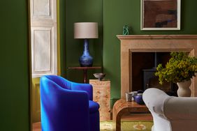 A green living room with a blue chair 