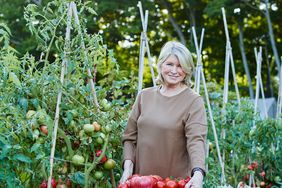 10-martha-tomato-portrait-68653-d112503.jpg