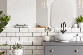 white bathroom with multiple plants