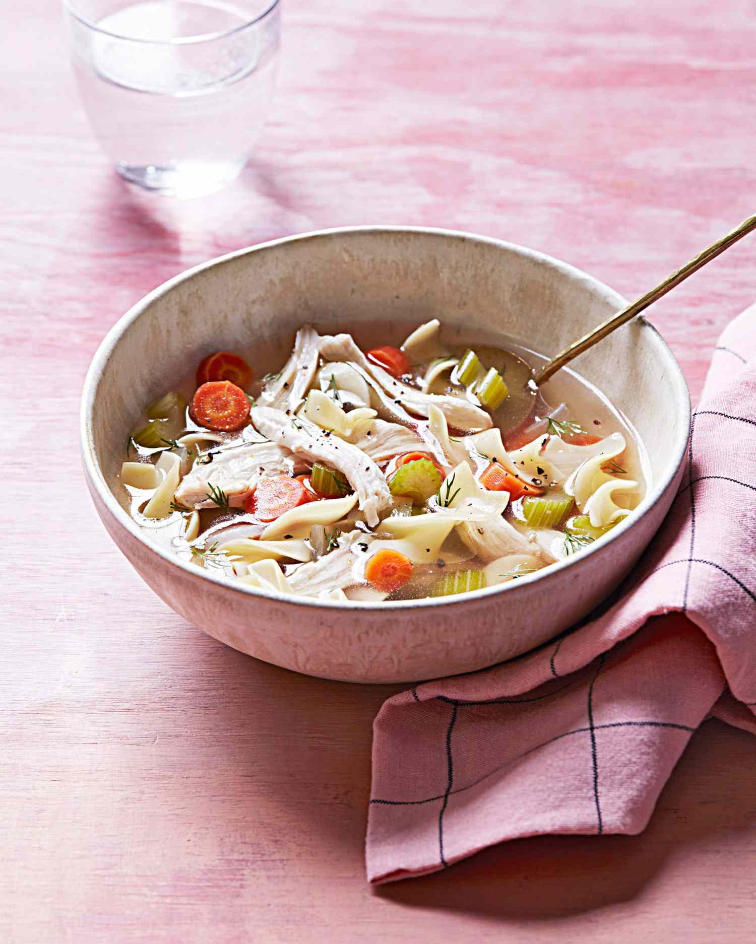 Chicken Noodle Soup