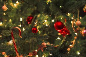 Christmas tree decorated with lights and ornaments