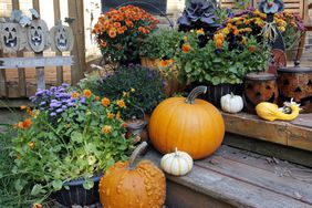 pumpkins and flowers front porch fall decor