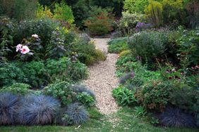 garden path made of wood chips