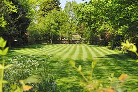 Newly mown lawn and gardens.