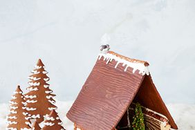 gingerbread house with trees