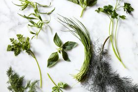 Fresh herbs including basil, dill, and mint