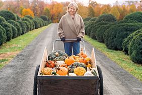 Martha with pumpkins