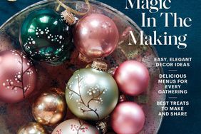 Martha Stewart Holidays cover