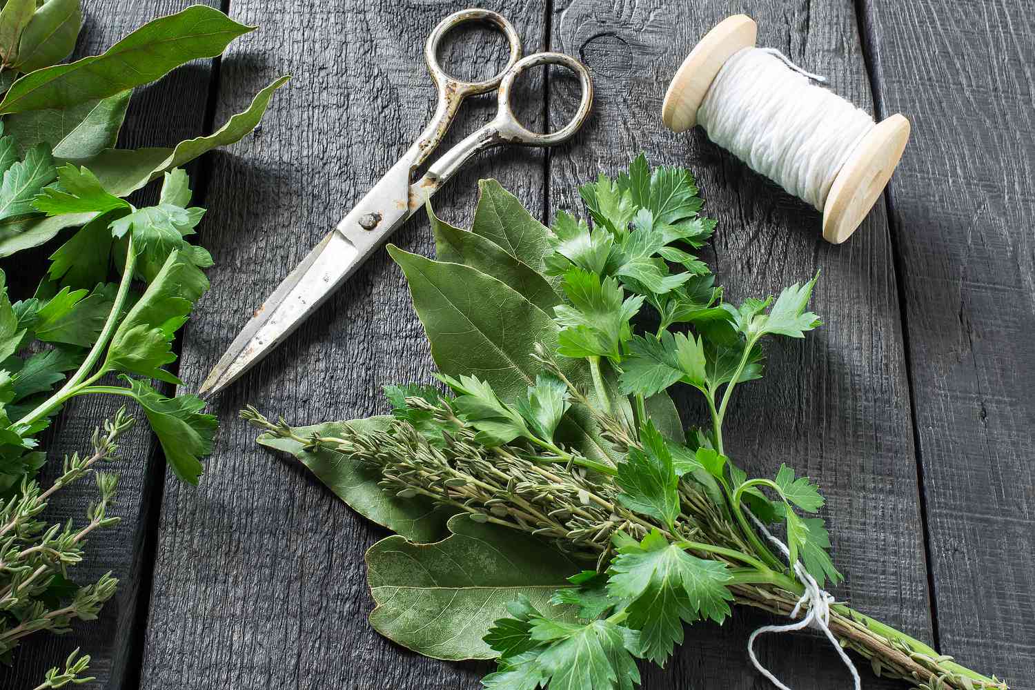 bouquet garni herb bundle with scissors and string