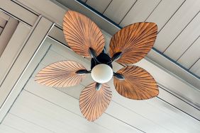 Decorative ceiling fan