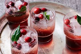 Cranberry Shrub Cocktail