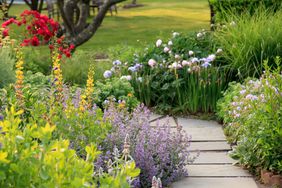 home garden with a path and flowers