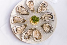 Oysters on plate