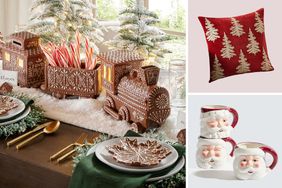 Pottery Barn Holiday Composite