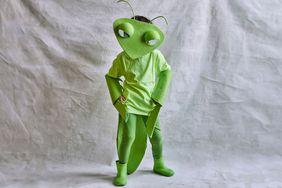 Praying mantis halloween costume