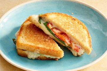 Grilled cheese with tomato and lettuce on a blue plate