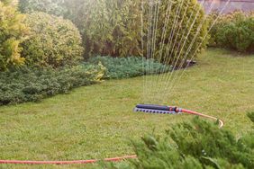 Lawn being watered by sprinkler