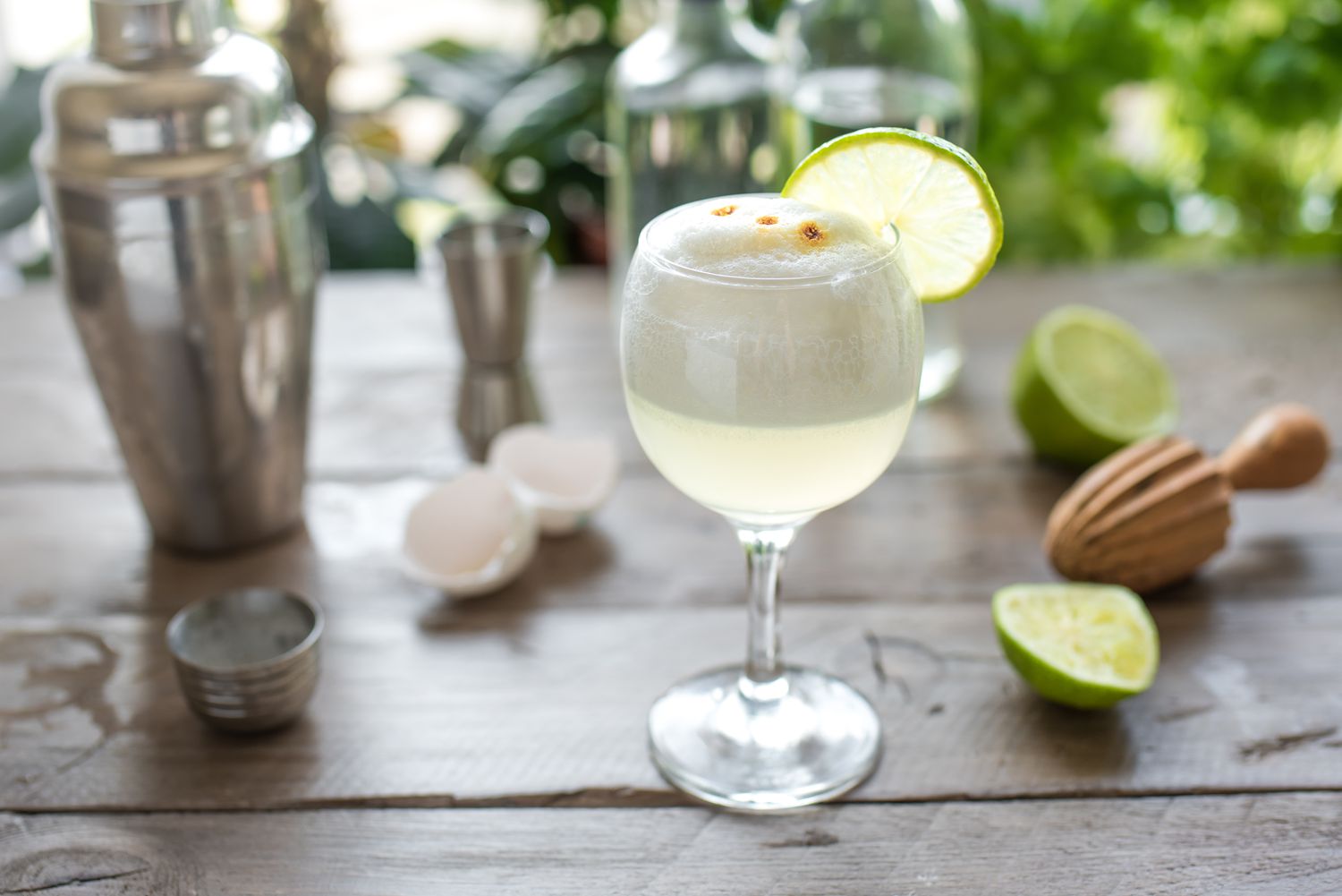 Pisco Sour Cocktail