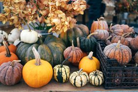 variety of pumpkins on an outdoor table