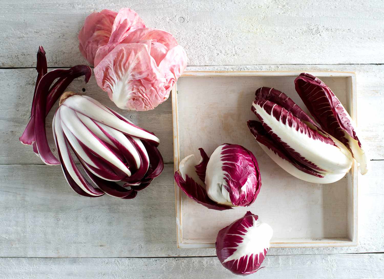 overhead view of multiple types of radicchio on white wood surface