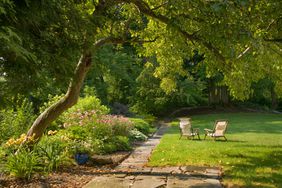 two lawn chairs in the backyard garden under tree